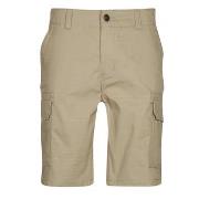 Short Dickies MILLERVILLE SHORT