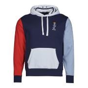 Sweat-shirt Polo Ralph Lauren SWEATSHIRT CAPUCHE COLORBLOCK BEAR BRODé