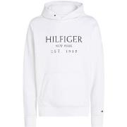 Sweat-shirt Tommy Hilfiger Big Hilfiger Hoody