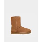 Bottes UGG 1016223 CLASSIC SHORT II