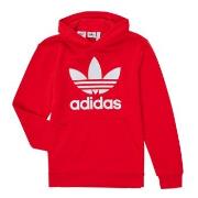 Sweat-shirt enfant adidas TREFOIL HOODIE