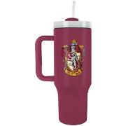 Accessoire sport Harry Potter TA12959