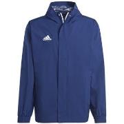 Blouson adidas -