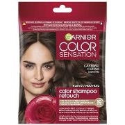 Colorations Garnier Color Sensation Shampooing Couleur Ton Sur Ton 4.0...