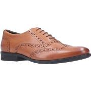 Derbies Hush puppies Oaken