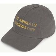 Casquette enfant The Animals Observatory S21183-03