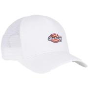 Chapeau Dickies -