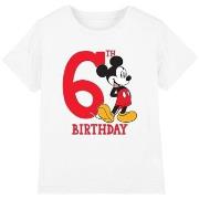 T-shirt enfant Disney TV3443