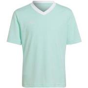 T-shirt enfant adidas Entrada 22