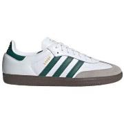 Baskets adidas Baskets Samba OG Cloud White/Collegiate Green/Clear Gra...