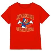 T-shirt enfant Disney Awesome Grandpa