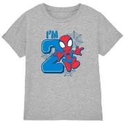 T-shirt enfant Marvel Cute Spidey