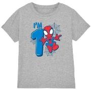 T-shirt enfant Marvel Cute Spidey