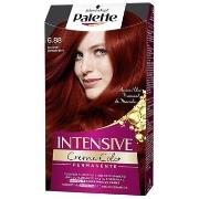 Colorations Palette Intensive Colorant 6.88-rouge Rubis