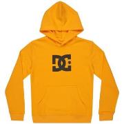 Polaire DC Shoes DC Star