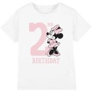 T-shirt enfant Disney TV4937