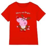 T-shirt enfant Dessins Animés TV5024