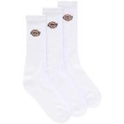 Chaussettes hautes Dickies DK0A4X82WHX1