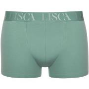 Boxers Lisca Boxer Odysseus