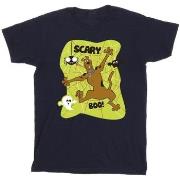 T-shirt Scooby Doo Scary Boo!