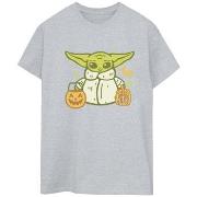 T-shirt Star Wars: The Mandalorian Trick Or Treat