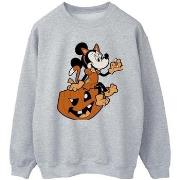 Sweat-shirt Disney BI53053