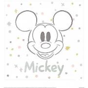 Affiches, posters Disney 40 cm x 40 cm PM5349