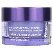 Soins visage Strivectin RE-QUENCH Crème Hydratante Water Cream - 50 ml