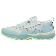 Chaussures Mizuno Wave daichi 9