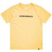 T-shirt DC Shoes Whereabouts