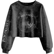 Sweat-shirt Harry Potter HE767