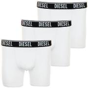 Boxers Diesel A00974-RSFAC