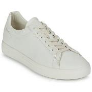 Baskets basses Clae BRADLEY