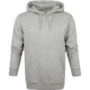 Sweat-shirt Colorful Standard Colorful Sweat à Capuche Standard Gris