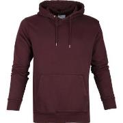 Sweat-shirt Colorful Standard Sweat Capuche Bio Bordeaux