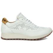 Baskets montantes Kangaroos 37839