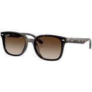 Lunettes de soleil Ray-ban Lunettes de soleil rectangulaires RB4461D