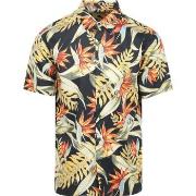 Chemise Superdry Shirt Print Hawaiian Bird of paradise