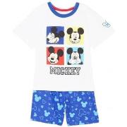 Ensembles enfant Disney Ensemble Garçon Bleu