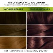 Garnier Nutrisse Permanent Hair Dye (Verschillende tinten) - 5.25 Ultr...