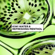 Garnier Hair Food Multi-Use Hair Treatment Mask,Kiwi Menthol, 400ml