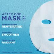 Garnier Moisture Bomb Pomegranate Hydrating Face Sheet Mask