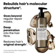 L'Oréal Professionnel Serie Expert Absolut Repair Molecular Rinse-off ...