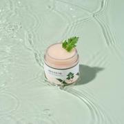 Round Lab Mugwort Cream 80ml