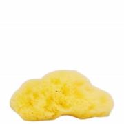 Eponge de mer éthique Fina Silk de Natural Sea Sponge Company (7,5 cm)