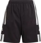 Sportbroek 'Squadra 21 '