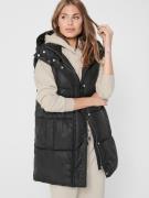 Bodywarmer 'ONLDemy'