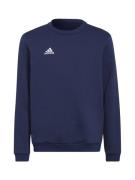 Sportief sweatshirt 'Entrada 22'