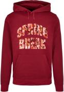 Sweatshirt 'Spring Break'