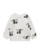 Sweatshirt 'BEAR'